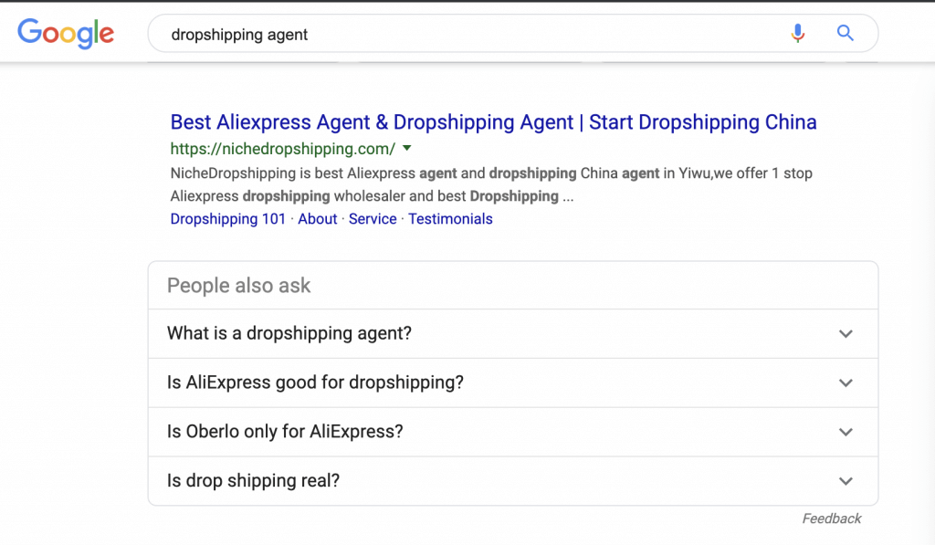 Google Search Result of Dropshipping Agent