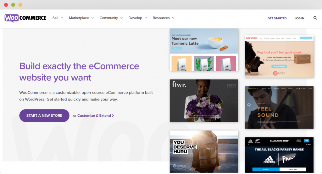What Is WooCommerce Dropshipping