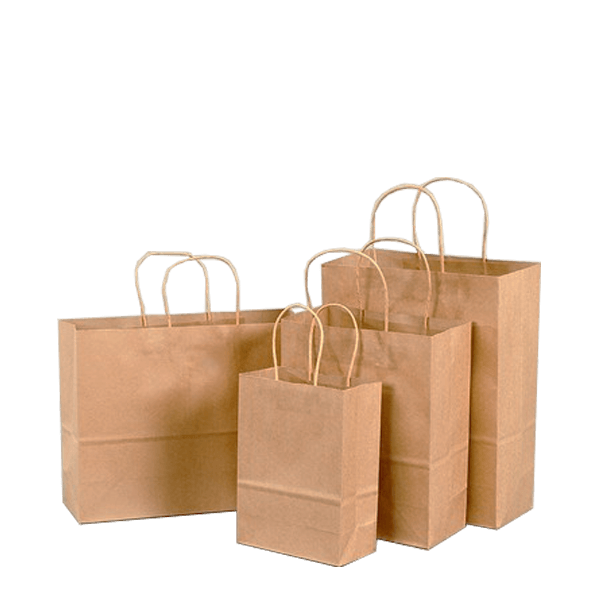 NicheDropshipping_Shopping Bag