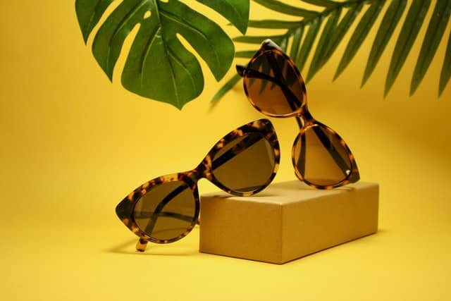 Can NicheDropshipping Help Me Dropship Sunglasses?