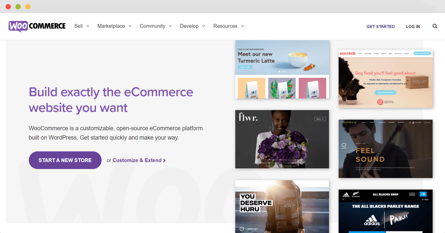 WooCommerce + WordPress