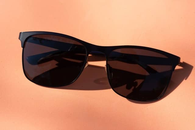 Wayfarer Sunglasses