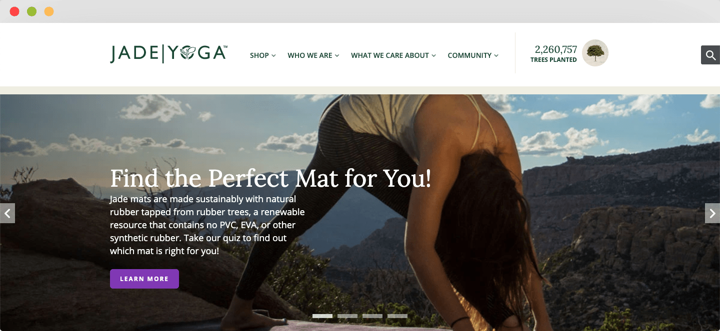 Dropshipping Yoga Products - Suppliers, Products Ideas & Risks