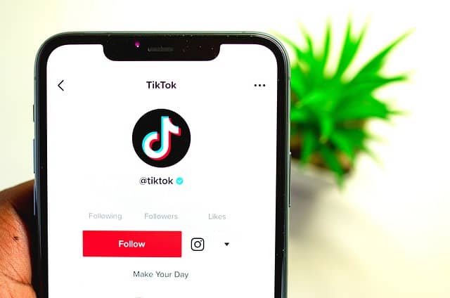 TikTok dropshipping ads