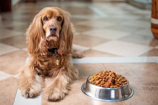 Pet dishes