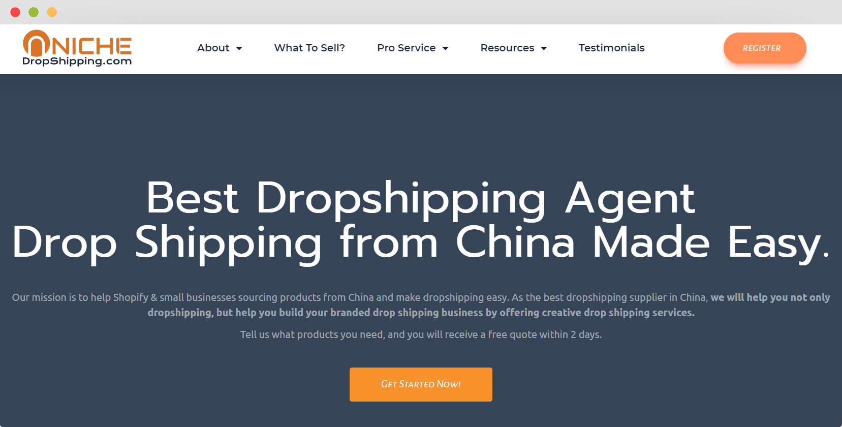 NicheDropshipping best dropshipping websites