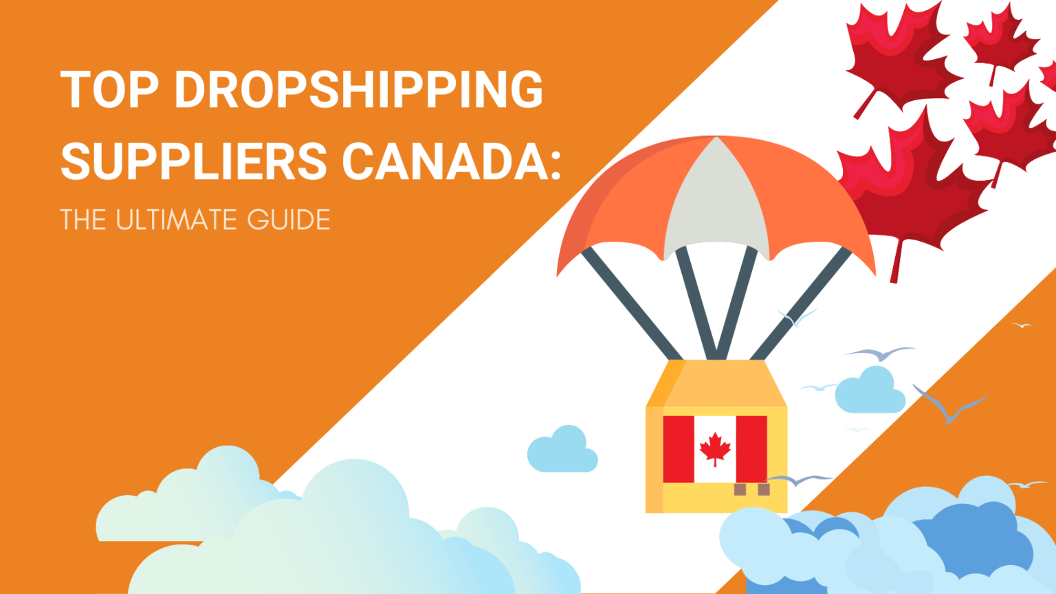 Reliable Dropshipping Supplier from China | Dropship China Pro