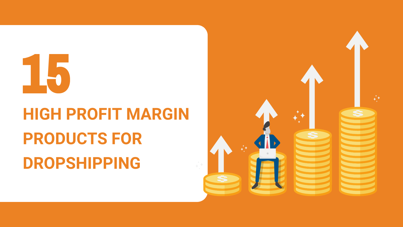 15 High Profit Margin Products for Dropshipping in 2022 Dropshipping