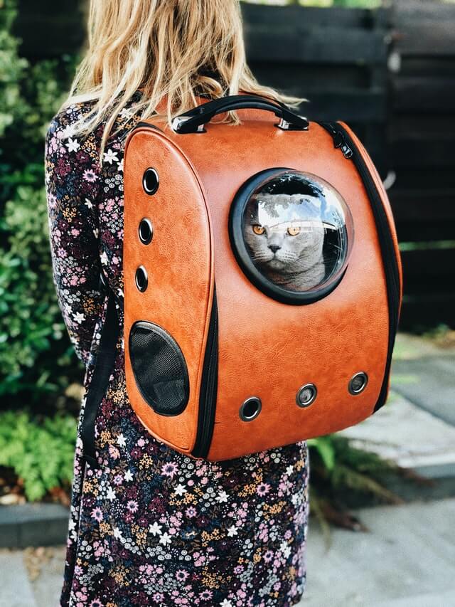 Pet Carrier