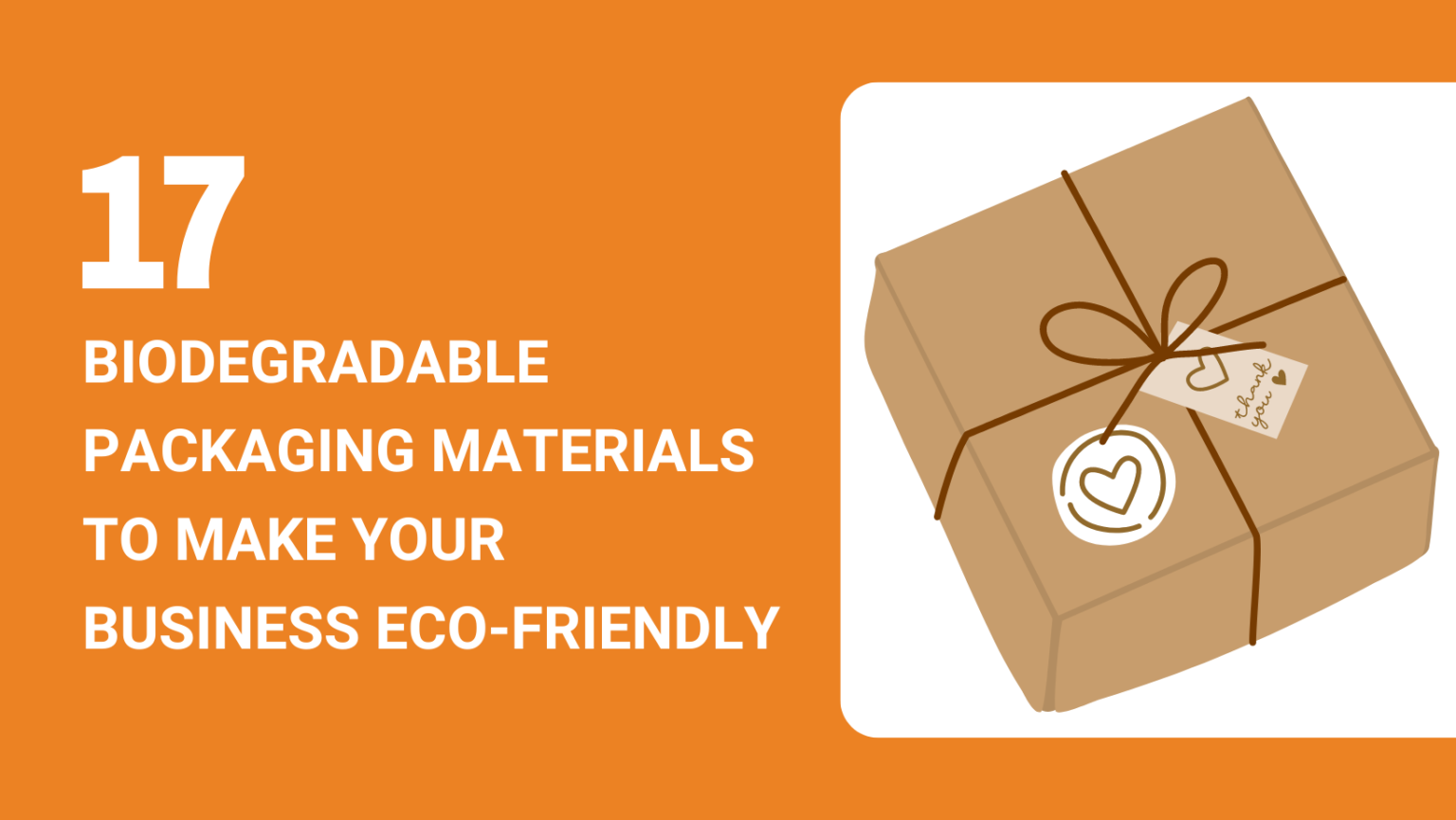 biodegradable products business plan