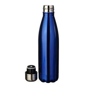 16 Oz Insulated Water Bottles