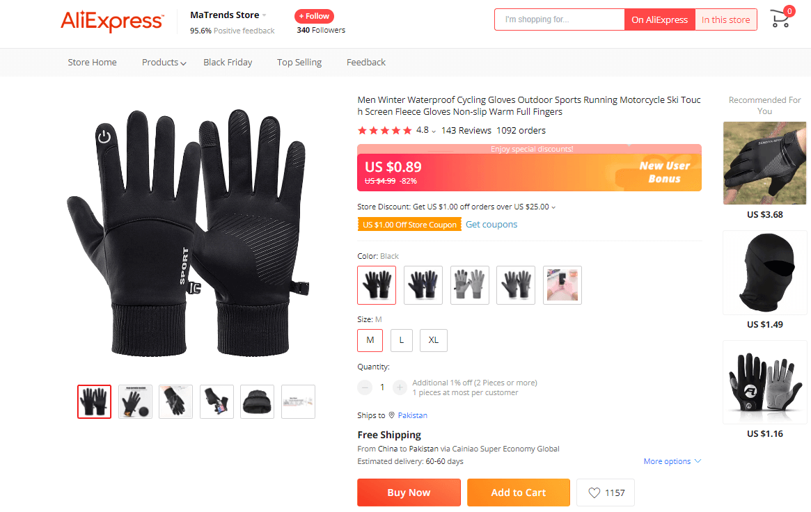 Winter Gloves