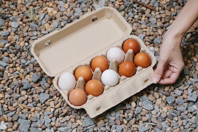 Biodegradable Packaging