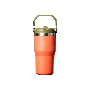 Insulated Water Bottles With Straw