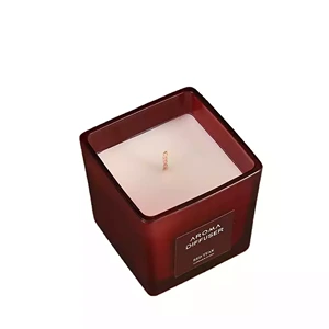 Square Frosted Glass Candle Jars