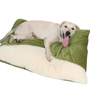 Dog Beds With Covers
