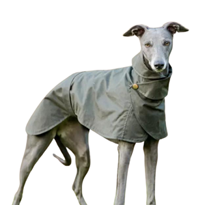 Dog Coats