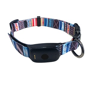 GPS Dog Collars