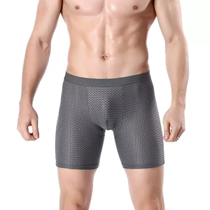 Mens Mesh Underwear