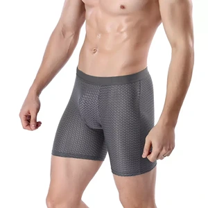 Mens Mesh Underwear