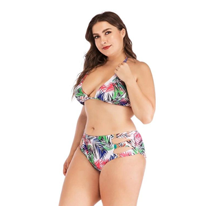 Plus Size Two Piece Swimsuits