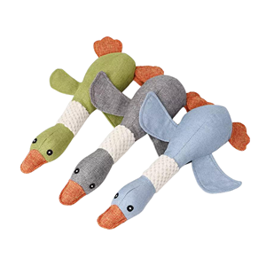 Squeaky Dog Toys
