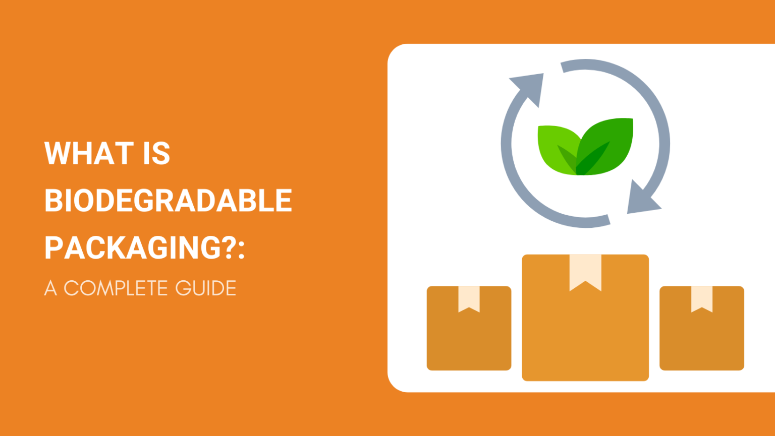 What Is Biodegradable Packaging? A Complete Guide