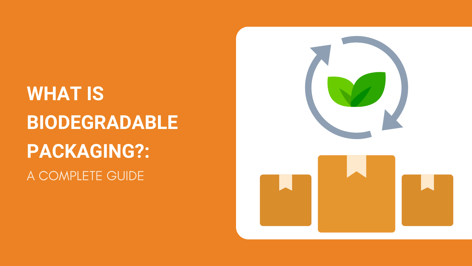 What Is Biodegradable Packaging?: A Complete Guide