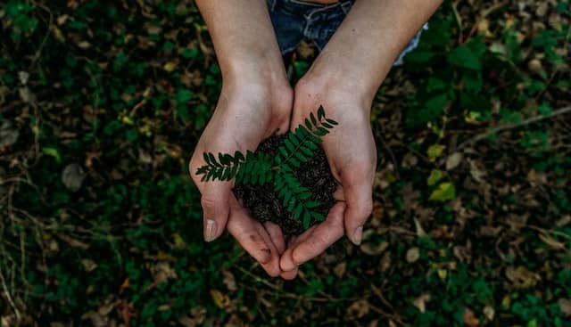 Compostable packaging