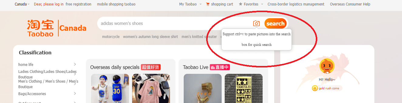 Taobao Image Search