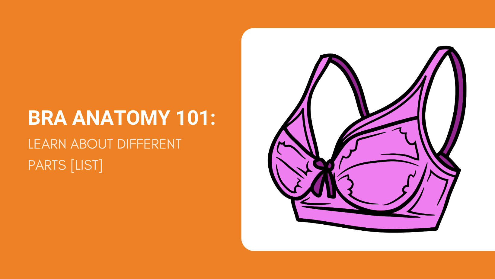 Bra Anatomy 101: Learn About Different Bra Parts [List]