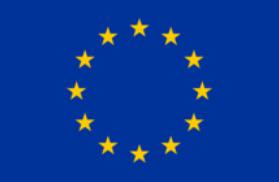 eu flag