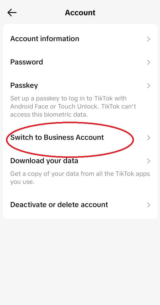 Tiktok Business Account