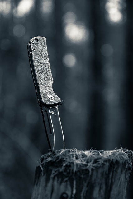 A Brief History of Kizer Knives