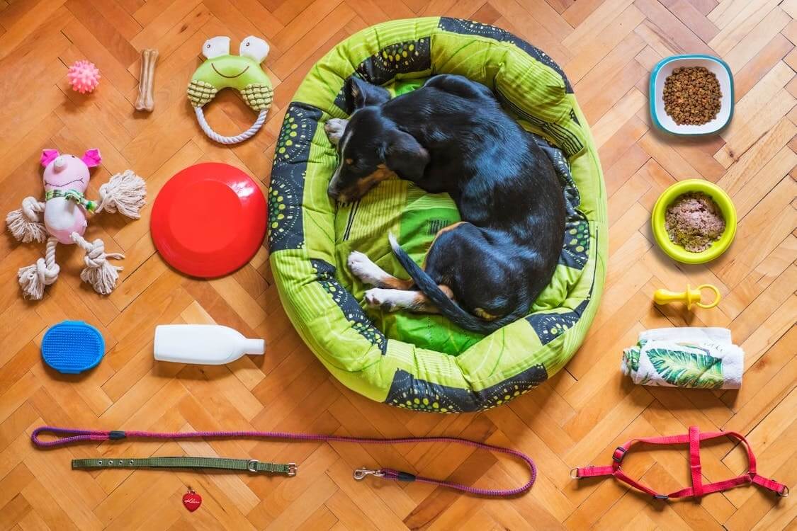 Pet Products