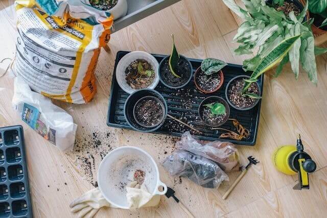 Plant and Gardening Supplies