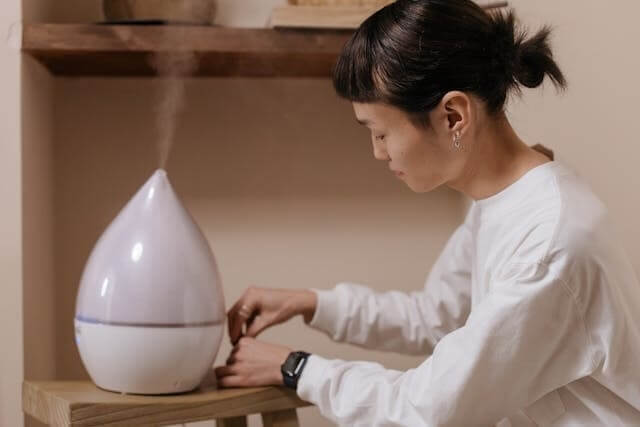 Air Purifiers and Humidifiers Dropshipping