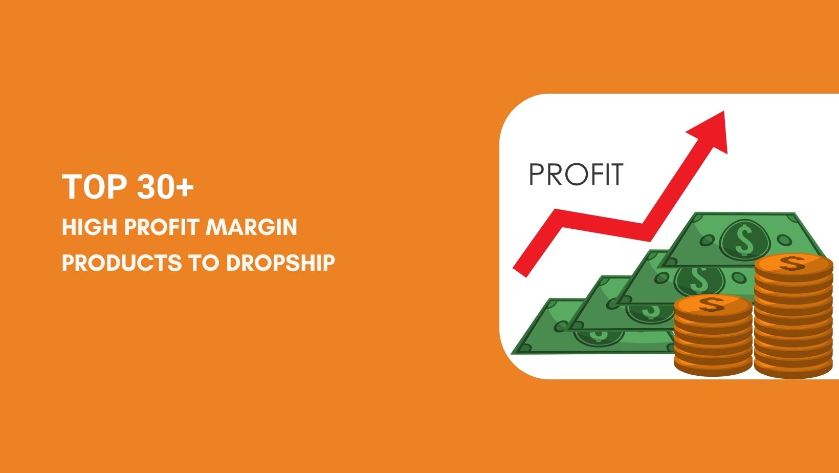 High Profit Margin Products to Dropship