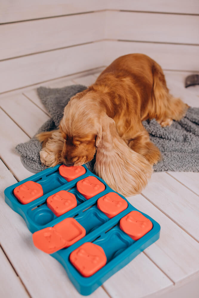 Interactive puzzle toys for dogs