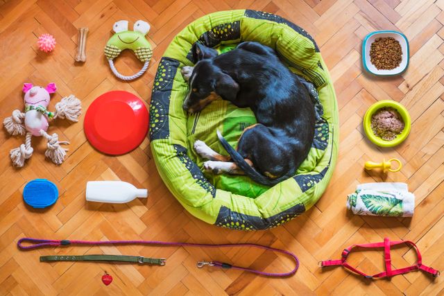 pet supplies