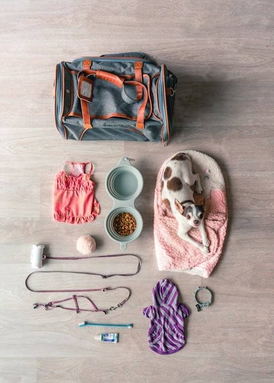 Pet Travel Accessories