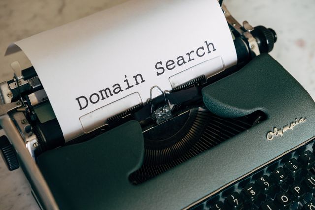examine domain name