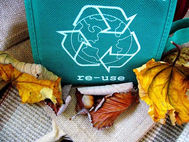 Sustainability Where Do Crocs Stand in 2026